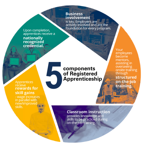 components of Registered Apprenticeship638870705295885165